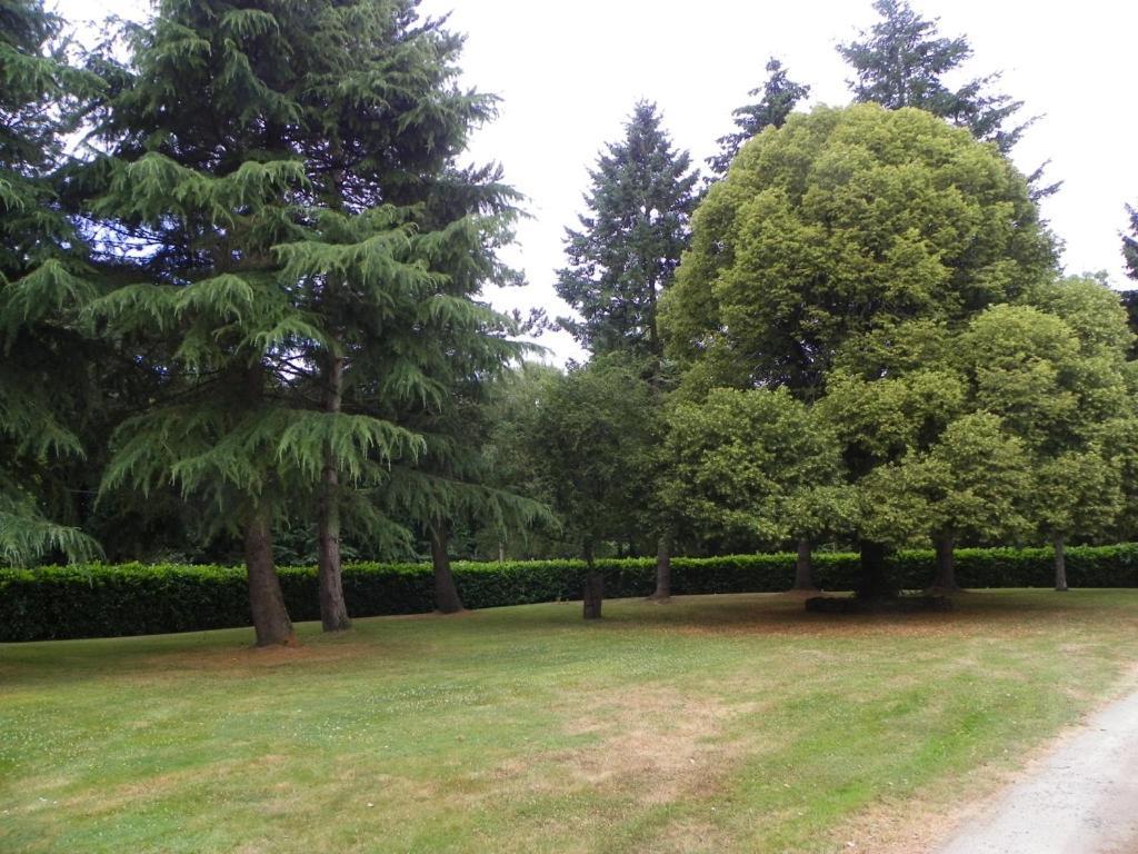 לינה וארוחת בוקר Malansac Manoir De Saint-Fiacre מראה חיצוני תמונה