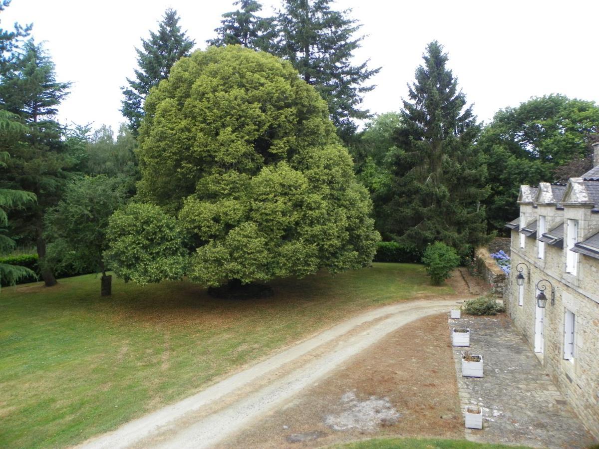 לינה וארוחת בוקר Malansac Manoir De Saint-Fiacre מראה חיצוני תמונה